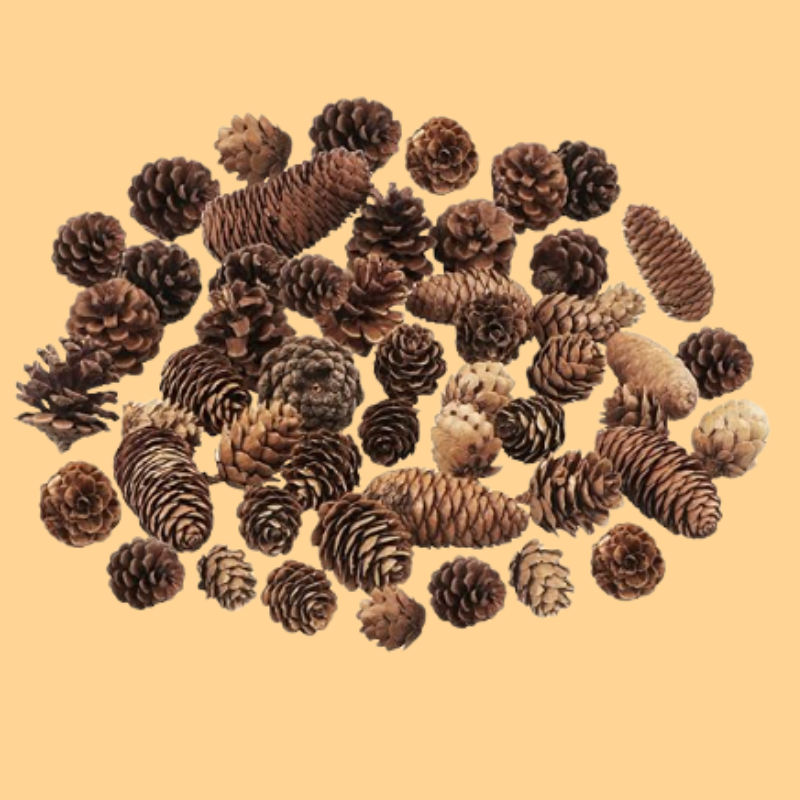 40 PCS Rustic Pine Cone Decorations - Large, Medium and Mini Sizes for Table