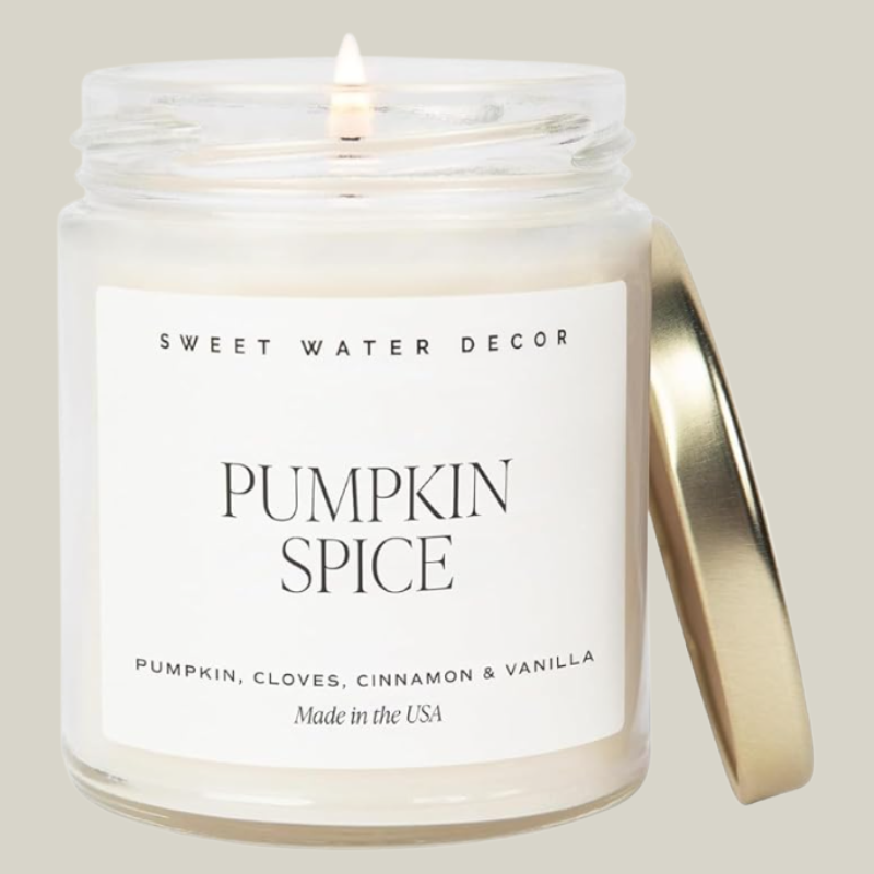 Sweet Water Decor Pumpkin Spice Candle